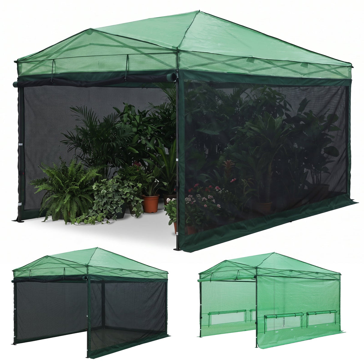 Pop up Greenhouse with Interchangeable PE & Mesh Wall Panels, 8x6/8x12 ft - Eagle Peak®