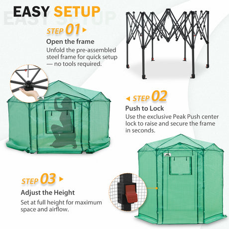 6.6x6.6 ft/ 8.5x8.5 ft Hexagon Pop up Greenhouse