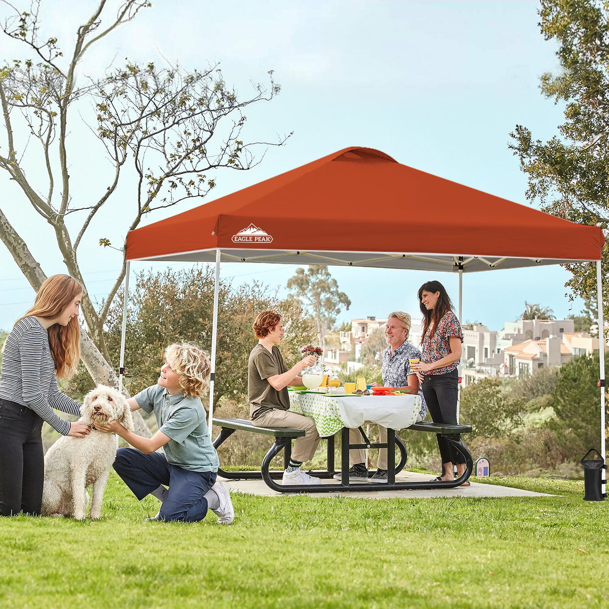 Replacement Canopy Cover with Air Vent for 10x10 Pop Up Canopy Tent, Top Only - Eagle Peak Custom Canopy Tent
