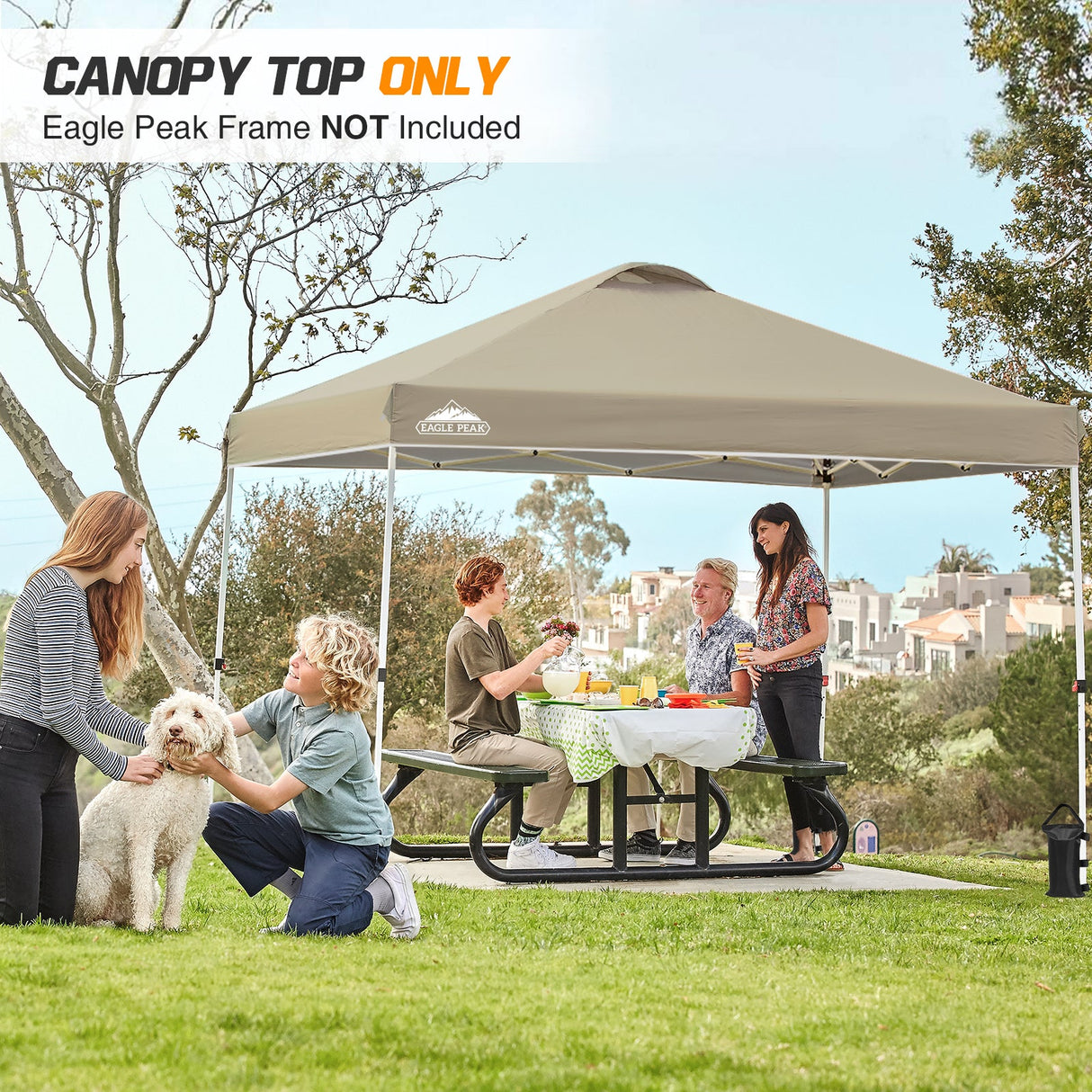 Replacement Canopy Cover with Air Vent for 10x10 Pop Up Canopy Tent, Top Only - Eagle Peak Custom Canopy Tent