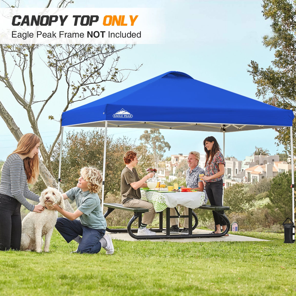 Replacement Canopy Cover with Air Vent for 10x10 Pop Up Canopy Tent, Top Only - Eagle Peak Custom Canopy Tent